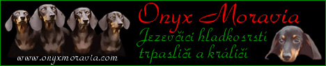 Banner Onyx Moravia