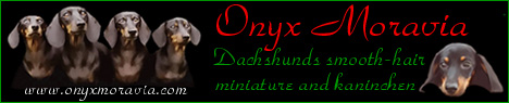 Banner Onyx Moravia